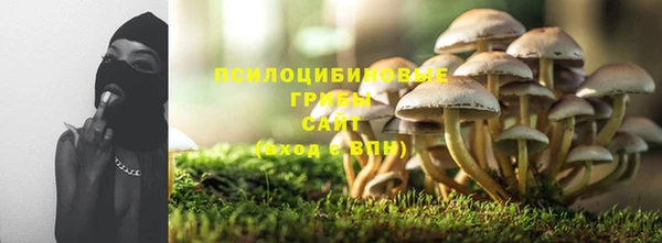 дживик Сафоново