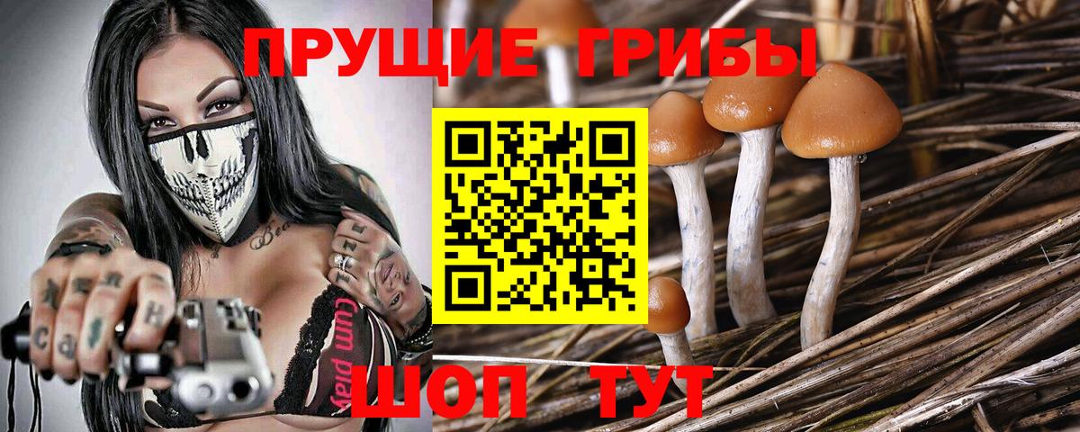 Галлюциногенные грибы Cubensis Михайловка