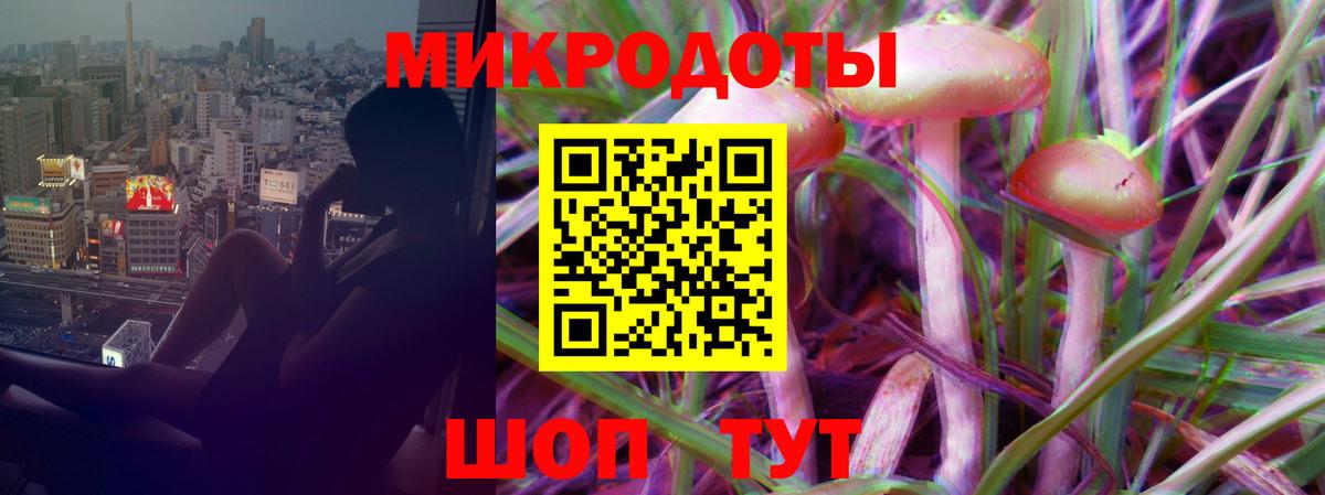Псилоцибиновые грибы прущие грибы  Михайловка 